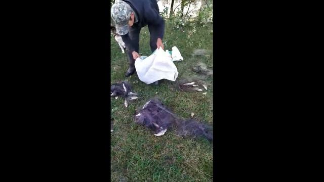 Браконьєр на р.Десна смотреть онлайн