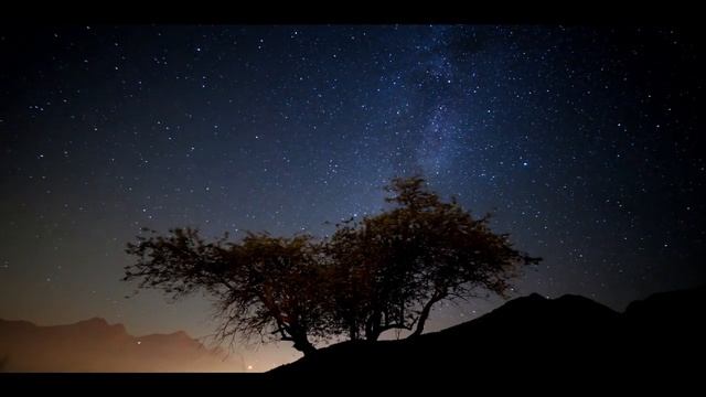 CHINESE FLUTE. КИТАЙСКАЯ ФЛЕЙТА