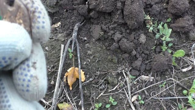 Путешествие в забытые места смотреть онлайн