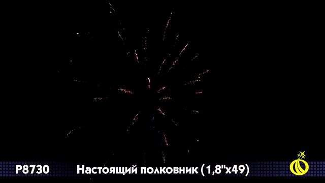 Салют Настоящий полковник (1,8 дюйма на 49) смотреть онлайн