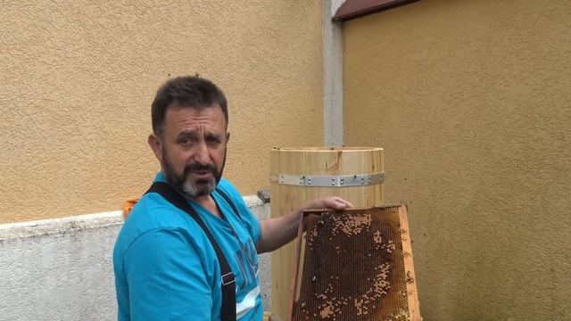 Пересадка пчел в КОЛОДУ заказчика смотреть онлайн