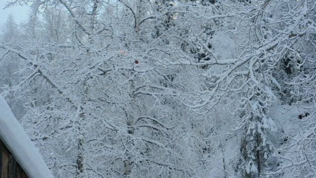 Drone hangs a Christmas Tree Ornament in Alaska! смотреть онлайн