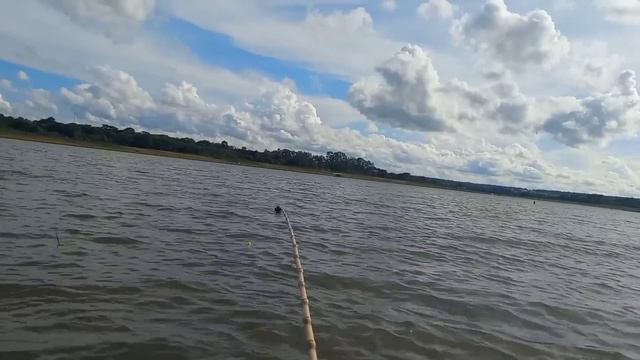 Pescaria de tucunare gigante no bambu e porquinho os monstros estão de volta Rio thomaizao смотреть онлайн