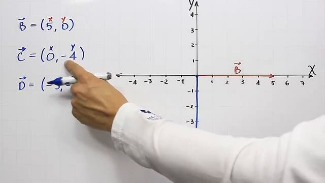 Representación gráfica de Vectores por componentes смотреть онлайн