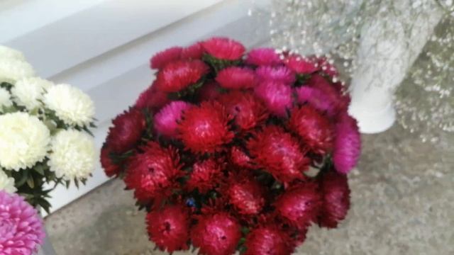 Астра 20.08.2021 смотреть онлайн