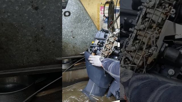 YAMAHA F50 смотреть онлайн