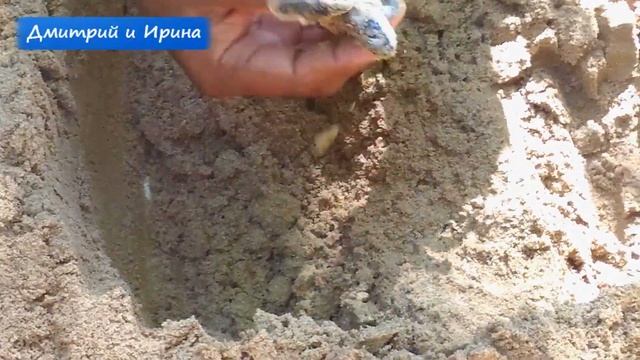 ШРИ ЛАНКА ^ ХИККАДУВА Шри Ланка ^ ХИККАДУВА бюджетный отдых ШРИ ЛАНКА! ХИККАДУВА черепахи ШРИ ЛАНКИ смотреть онлайн