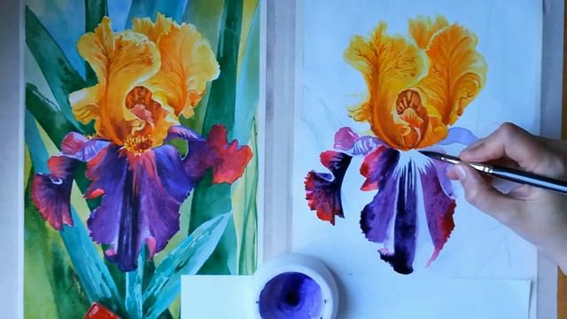 Как рисовать цветок ириса; Watercolor Iris Suprim Sultan by Art studio Pushkar смотреть онлайн