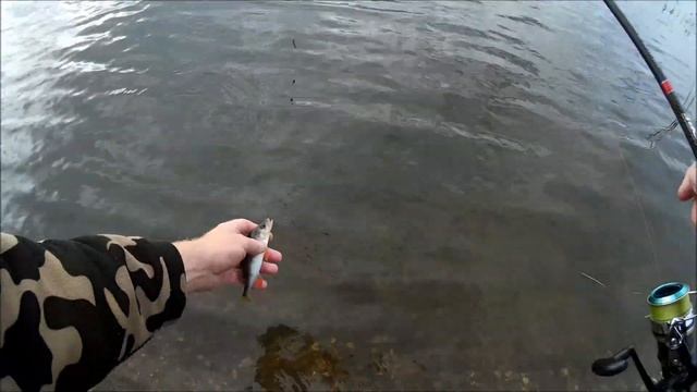 ЛОВЛЯ СПИННИНГОМ НА СЛАГИ- 3. смотреть онлайн