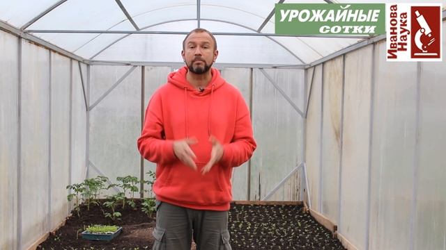 Высокие или глубокие грядки? Какие лучше в жаркое или холодное, сухое или мокрое лето. смотреть онлайн