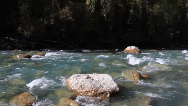 Джунгарский Алатау. Коринское ущелье. Река Кора. смотреть онлайн