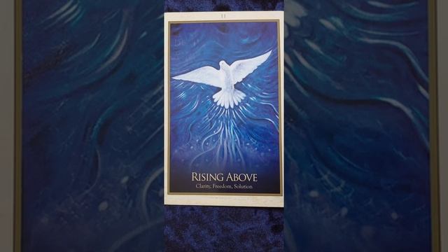 Rising Above ? Gaia Oracle Card Meaning смотреть онлайн