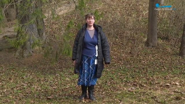 Павловский парк. Утраченные достопримечательности смотреть онлайн