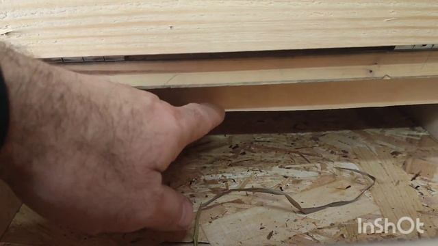 Срочно в курятник. Работа над ошибками. смотреть онлайн