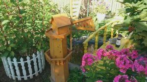 Видео привет с 6 соток утром 15 июля 2024 года.