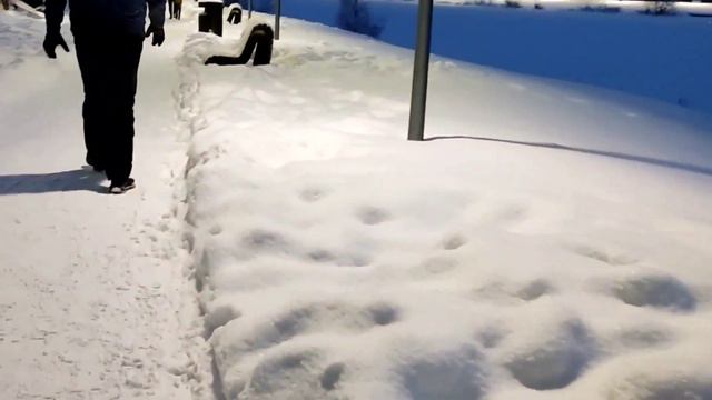 Белебей зимой/парк "Поющие родники/гуляем... смотреть онлайн