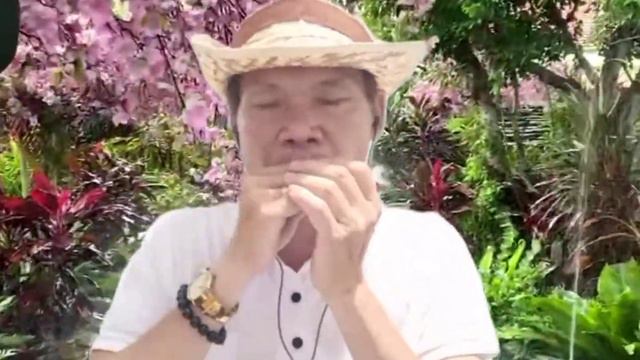 Hoà tấu kèn Acmonica/ Trả lại Anh/Phạm Ngân смотреть онлайн