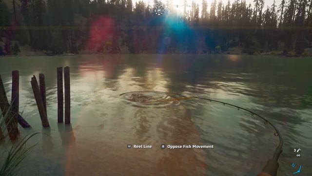 Far Cry New Dawn - CHINOOK SALMON (Fishing Location) смотреть онлайн