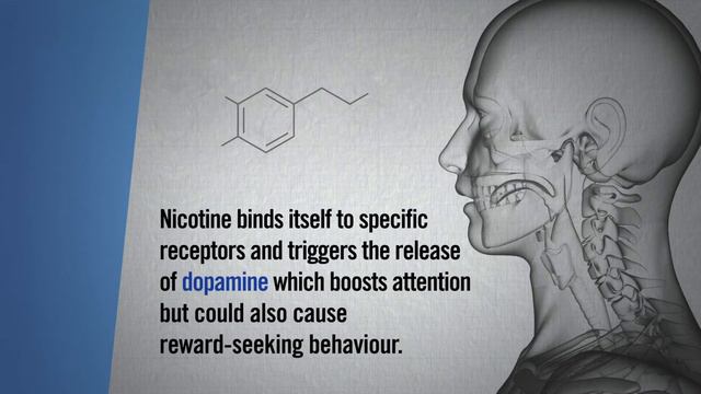 What is nicotine? смотреть онлайн