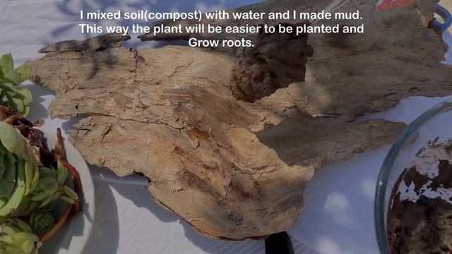 DIY Driftwood Home Decor смотреть онлайн