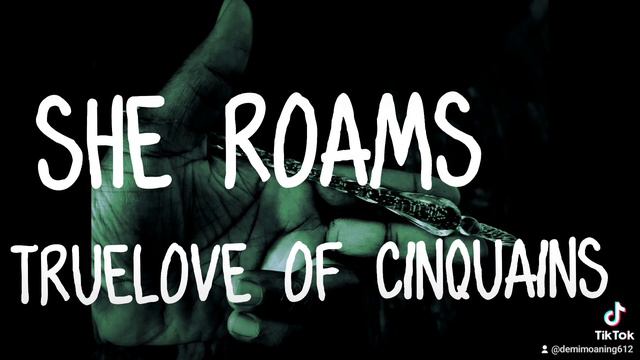 TRUE LOVE OF CINQUAINS - SHE ROAMS смотреть онлайн
