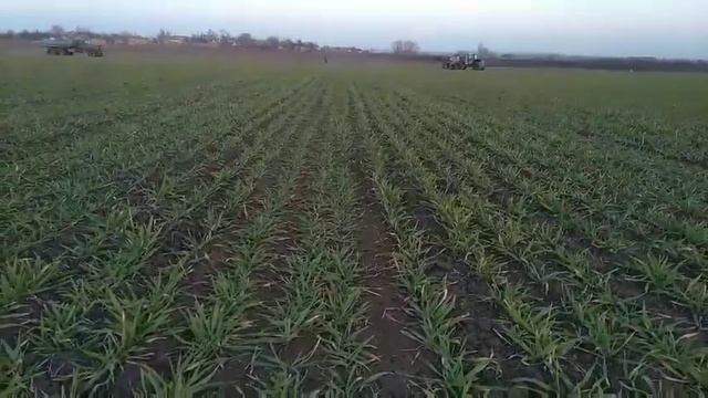 Пример внесения КАС с помощью "Водолей" смотреть онлайн