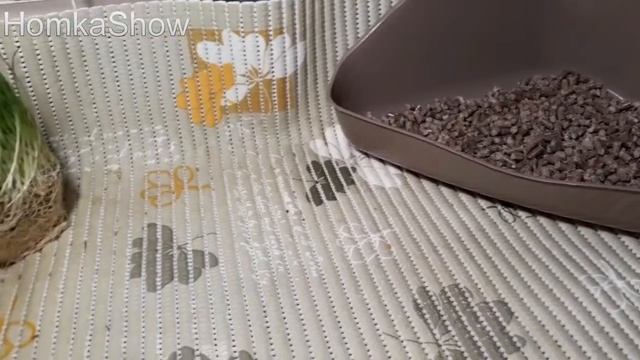 Приучаем Морскую Свинку к Туалету /ПРОВЕРЕННЫЙ СПОСОБ #HomkaShow смотреть онлайн