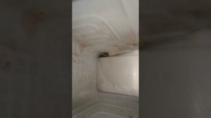 делаю прохладный подвал.из старого холодильника.