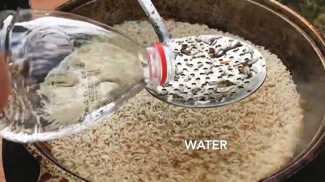 Наука о Здоровье и Жизни