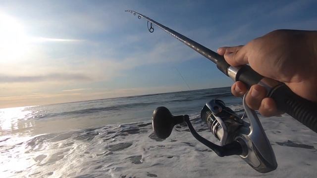 Using STORE MUSSELS for Surf Redtail Perch Fishing! (NEW BAIT=??) смотреть онлайн