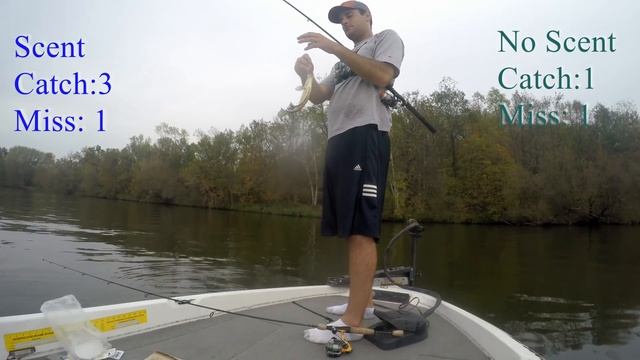 Scent VS No Scent Crappie Fishing CHALLENGE смотреть онлайн