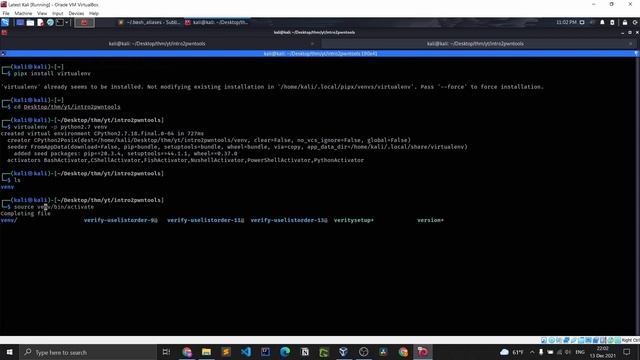 Intro To Pwntools (TryHackMe) - 0x01 смотреть онлайн