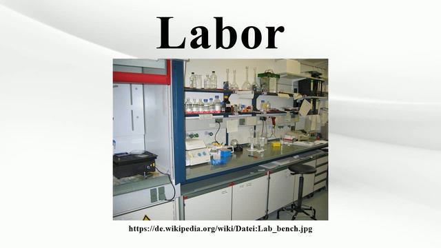Labor