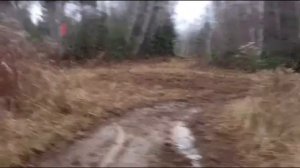 Kawasaki Brute Force 300