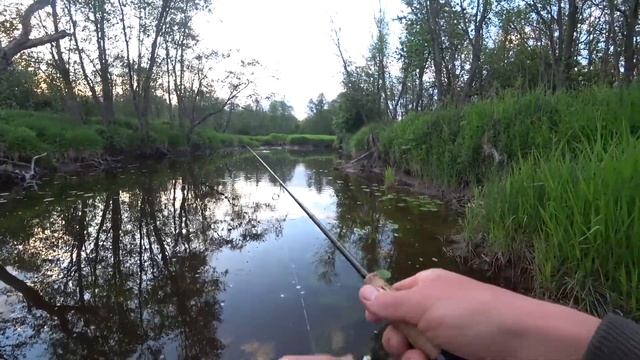 Поппер Yo-zuri 3DS.Лучшая приманка на хищника малых рек! Рыбалка со спиннингом! Злые поклëвки щук! смотреть онлайн