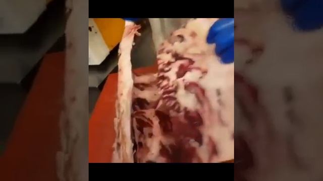 На день рождения Александра смотреть онлайн