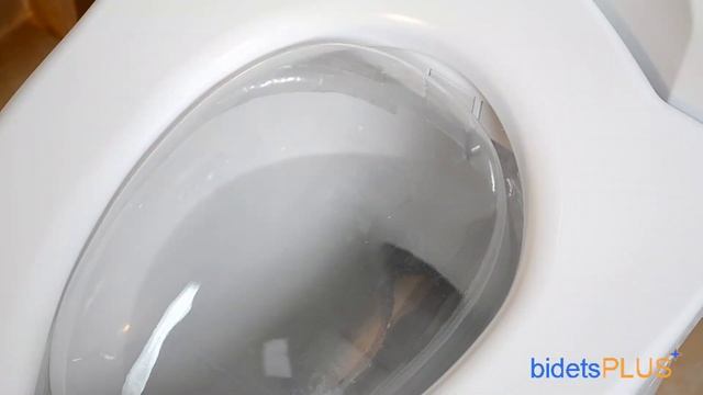 TOTO C200 Washlet Review - bidetsPLUS.com смотреть онлайн
