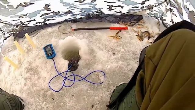 неожиданный интерес окуня к балде в конце декабря. смотреть онлайн