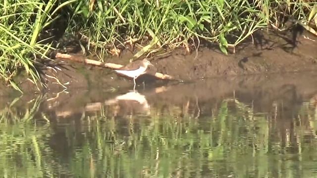? Рыбалка. р.Упа, Берники 08.07.21г. смотреть онлайн