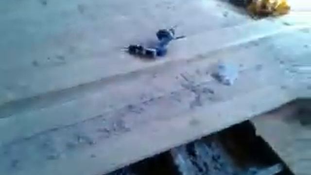 эковата 1 смотреть онлайн