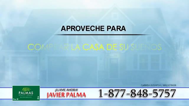 Ayled T. Zuluaga & Javier Palma - Palma's Realty смотреть онлайн