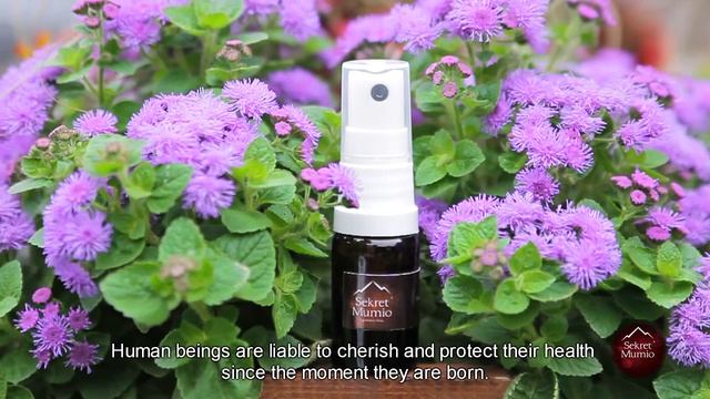 Sekret Mumio - vital energy source! смотреть онлайн