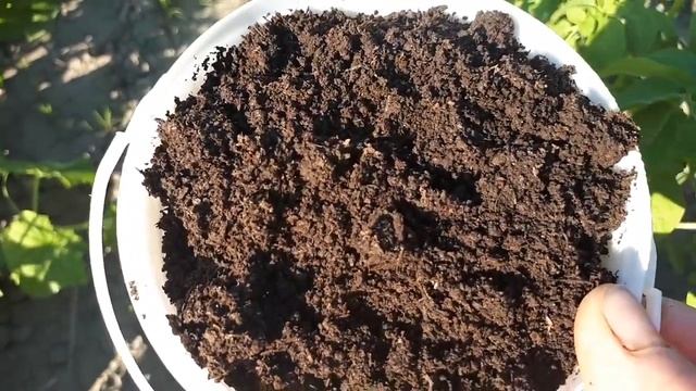 Видео привет от Татьяны Чалкиной из Новосибирска смотреть онлайн