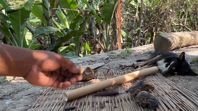 Using the Fomes fomentarius mushroom - Bamboo Strike- A -Light смотреть онлайн