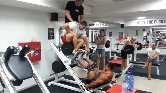 Жим ногами 800 кг Роман Гаврищук смотреть онлайн