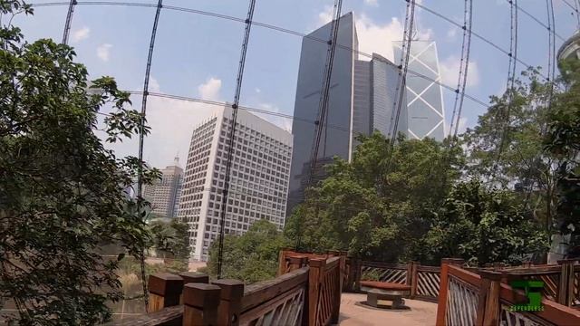 Hong Kong & Taiwan Music Road Trip - Part 1 смотреть онлайн