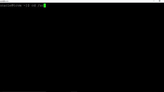 Oracle Database Cloud Service Virtual Image - Part 2 смотреть онлайн