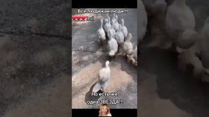 1000023750.mp4