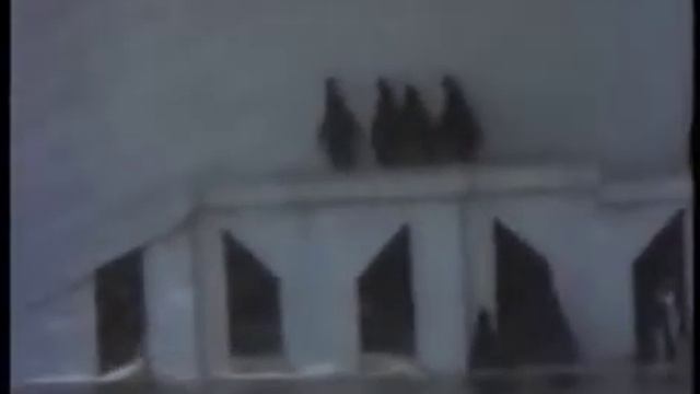 Сам себе режиссёр польша первый выпуск 3 юлия 1994 года часть 2 смотреть онлайн