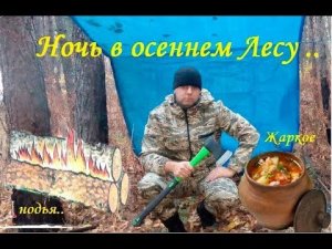 Ночь в осеннем Лесу